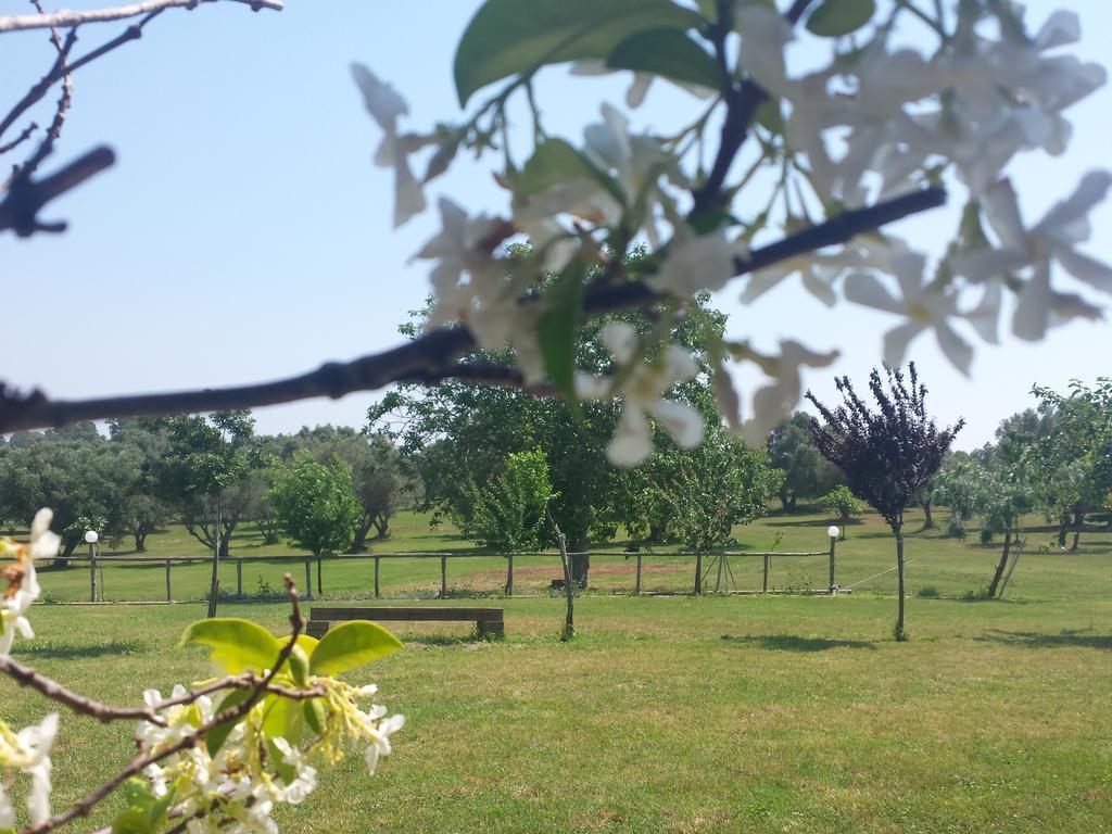 Agriturismo San Matteo Tarquinia Room photo